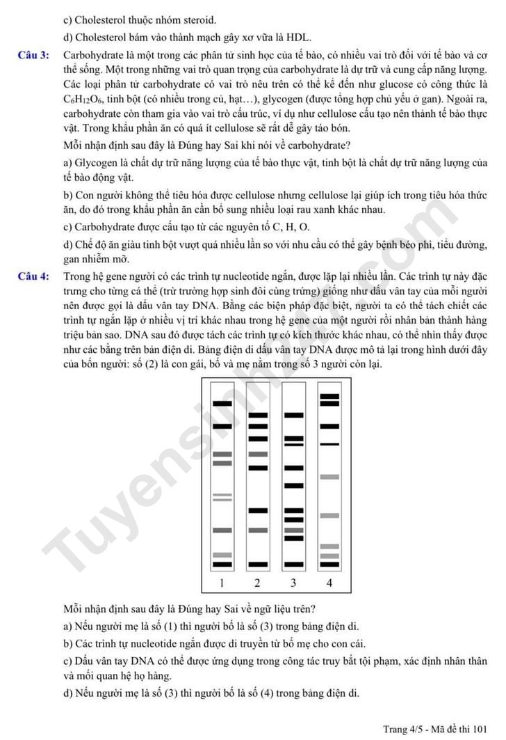 De thi giua ki 1 lop 10 mon Sinh 2024 - THPT Phan Huy Chu