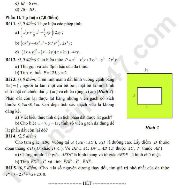 De thi giua ki 1 mon Toan lop 8 - Huyen Giao Thuy 2024 (Co dap an)