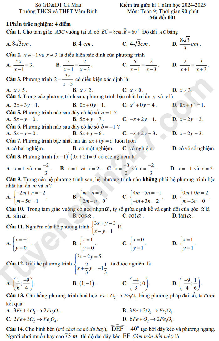 De thi giua ki 1 mon Toan lop 9 - THCS & THPT Vam Dinh 2024 (Co dap an)