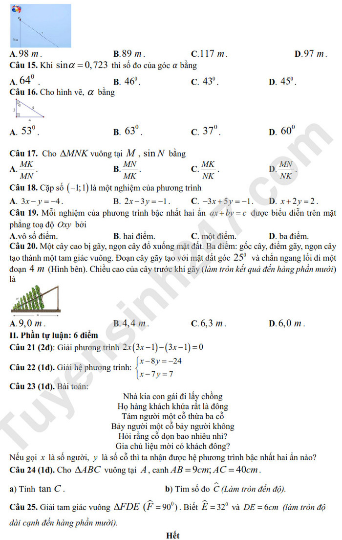 De thi giua ki 1 mon Toan lop 9 - THCS & THPT Vam Dinh 2024 (Co dap an)