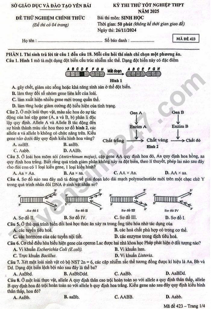 De thi thu tot nghiep THPT mon Sinh 2025 - So GD Yen Bai