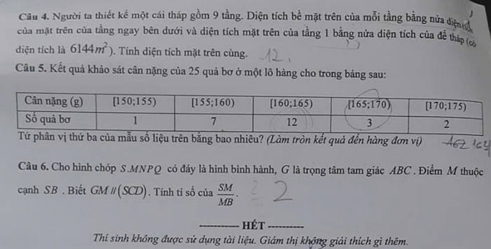 De thi cuoi ki 1 lop 11 mon Toan 2024 - THPT Viet Hoang