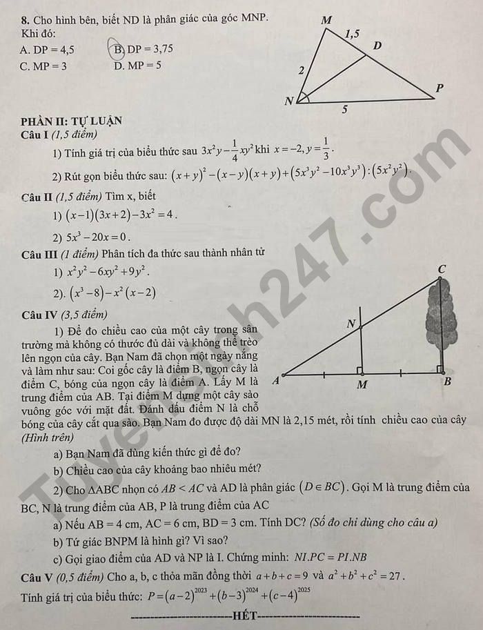 De thi hoc ki 1 mon Toan lop 8 - THCS Phan Chu Trinh 2024