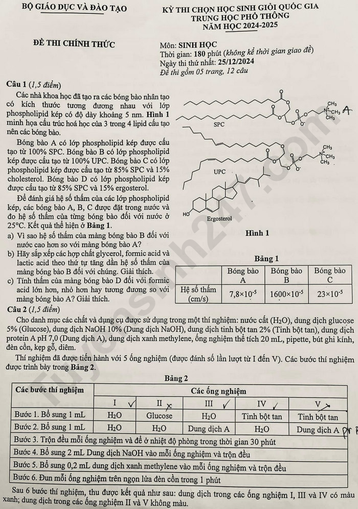 De thi hoc sinh gioi Quoc gia mon Sinh nam 2024
