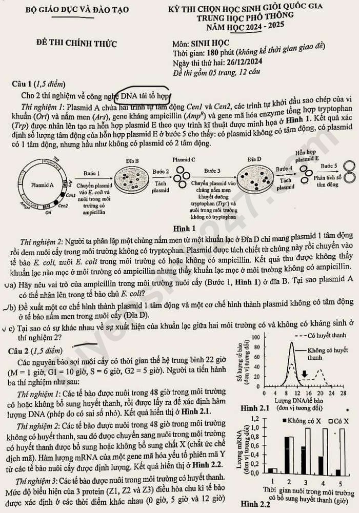 De thi hoc sinh gioi Quoc gia mon Sinh nam 2024 - Ngay 2