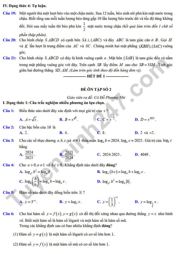 De cuong giua ki 2 nam 2025 mon Toan lop 11 - THPT Viet Duc