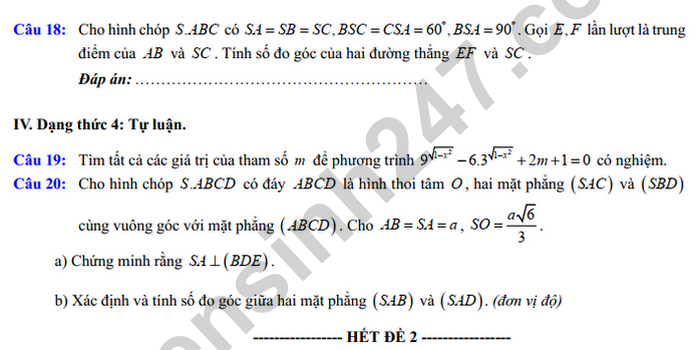 De cuong giua ki 2 nam 2025 mon Toan lop 11 - THPT Viet Duc