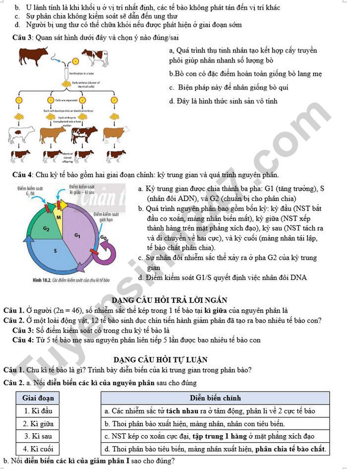 De cuong on tap giua ki 2 mon Sinh 10 nam 2025 - THPT Hoang Van Thu