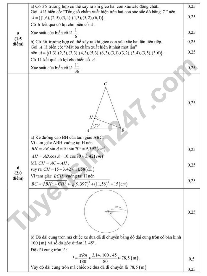 De thi thu tuyen sinh lop 10 mon Toan nam 2025 - TH, THCS&THPT IRIS (co dap an)