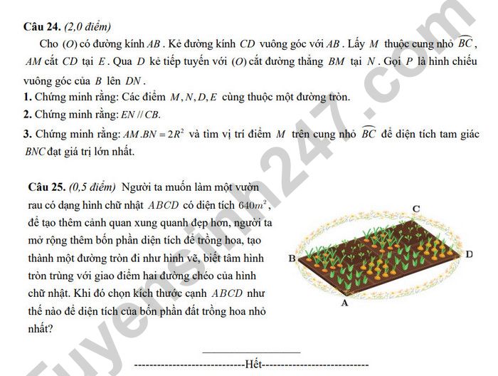 De thi thu vao lop 10 lan 1 mon Toan nam 2025 - Phong GD Lang Giang (co dap an)