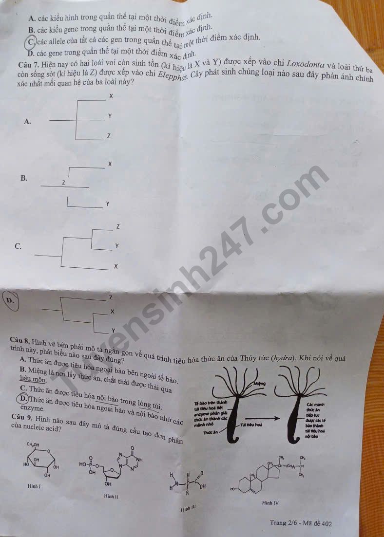 De thi thu tot nghiep THPT mon Sinh 2025 - So GD Bac Lieu (Lan 2)