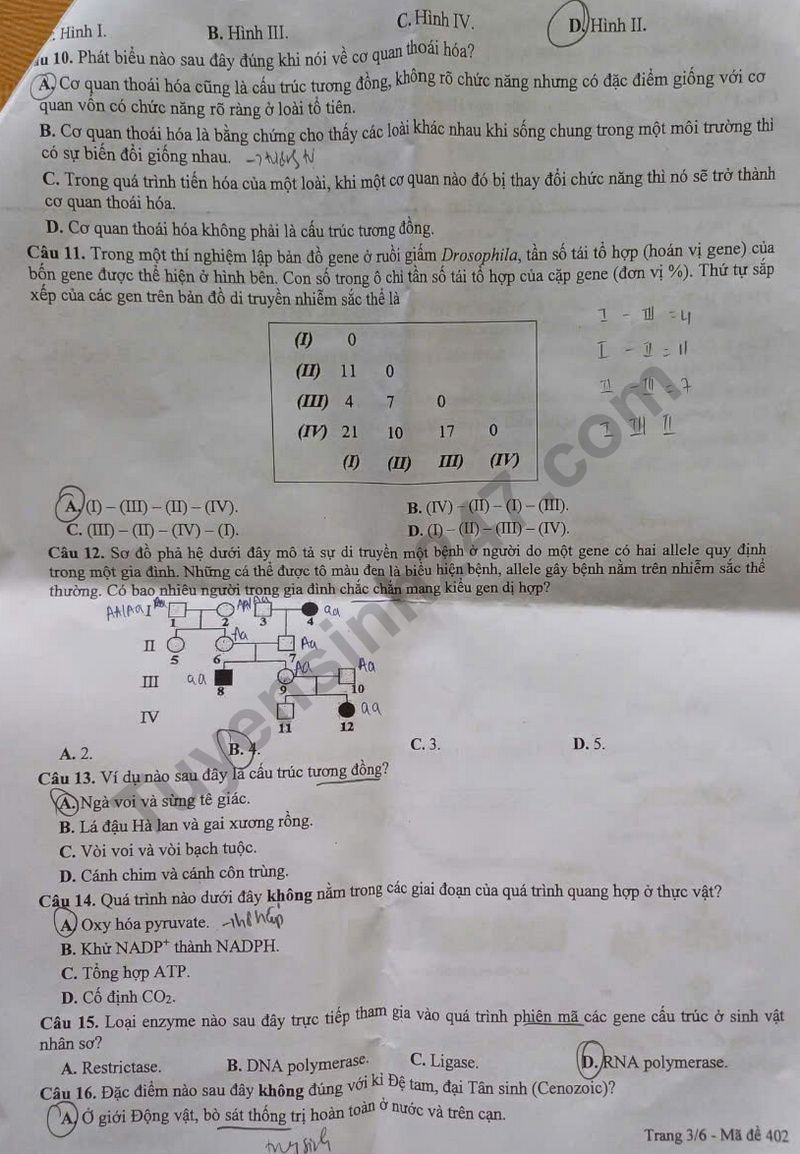 De thi thu tot nghiep THPT mon Sinh 2025 - So GD Bac Lieu (Lan 2)