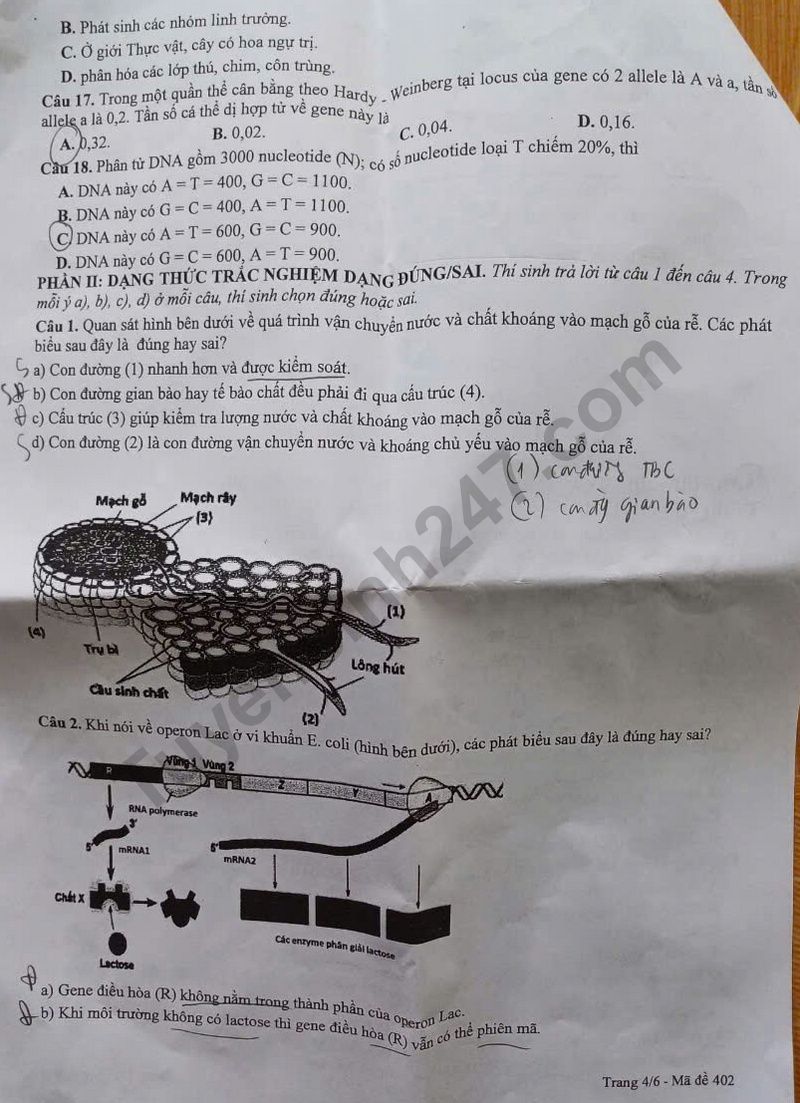 De thi thu tot nghiep THPT mon Sinh 2025 - So GD Bac Lieu (Lan 2)