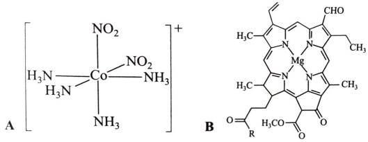 A chemical formula and a chemical structure
AI-generated content may be incorrect.