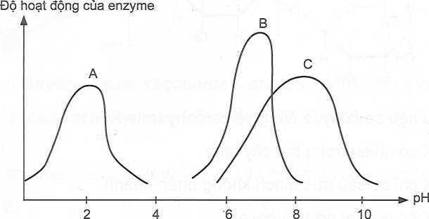 A diagram of a function

AI-generated content may be incorrect.