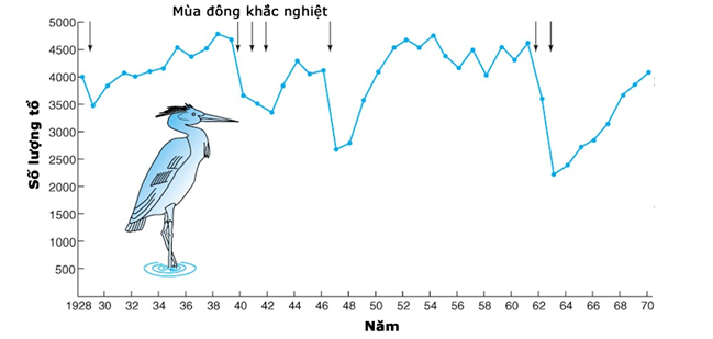Description: https://images.tuyensinh247.com/picture/2018/1128/cau30.png