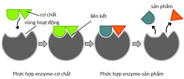 A diagram of a diagram of a diagram
AI-generated content may be incorrect.