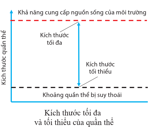 A diagram of a diagram

Description automatically generated