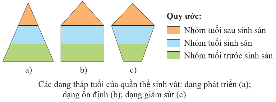 A diagram of a triangle with a triangle and a triangle with a triangle and a triangle with a triangle with a triangle with a triangle with a triangle with a triangle with a triangle with a triangle with

Description automatically generated