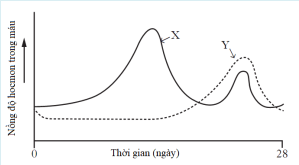 A diagram of a normal distribution

AI-generated content may be incorrect.