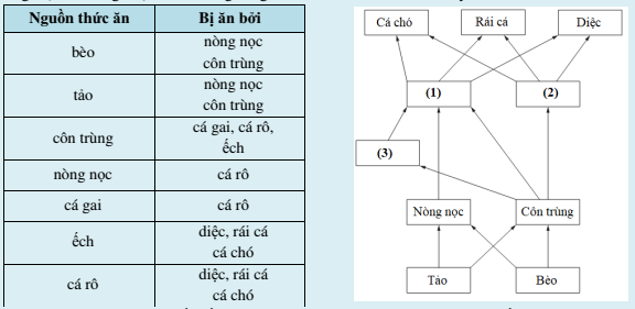 A diagram of a flowchart

AI-generated content may be incorrect.