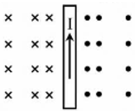 A diagram of a cross between two rows of dots

AI-generated content may be incorrect.