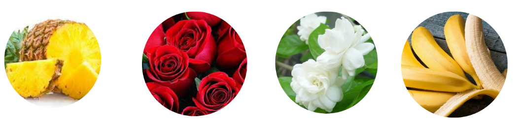 Diagram
Description automatically generated with medium confidence