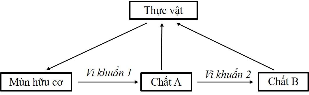 A diagram of a chat
AI-generated content may be incorrect.