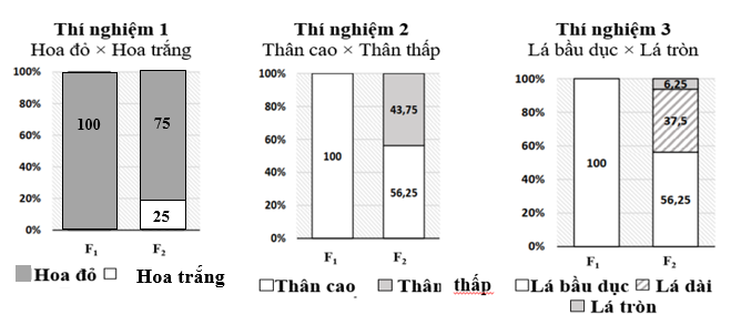 A graph of different numbers

AI-generated content may be incorrect.