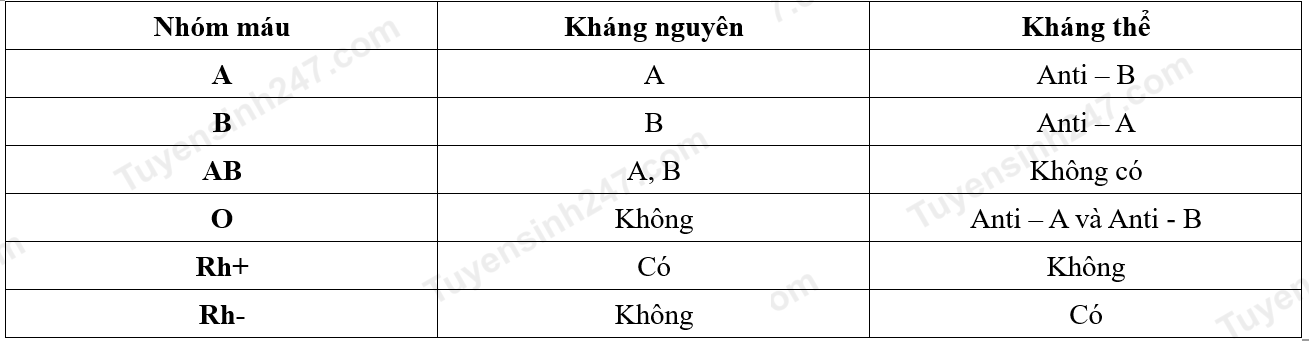A table of text with black text
Description automatically generated with medium confidence