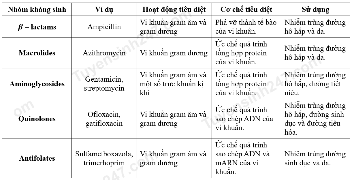 A white and black text on a white background
Description automatically generated