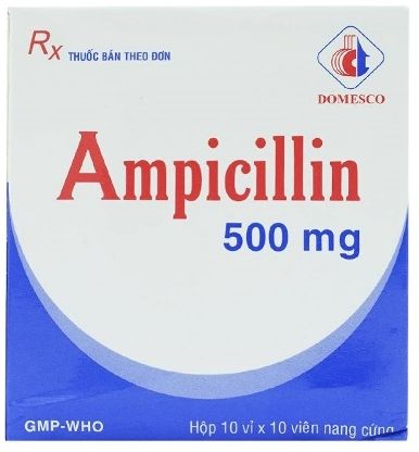 Thuốc kháng sinh Ampicillin 500mg (Domesco) hộp 100 viên | Medigo
