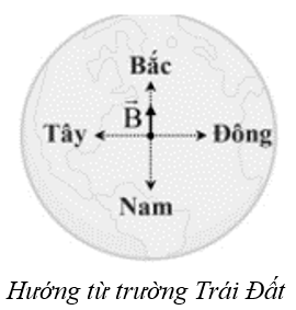 A circle with arrows pointing to a globe
AI-generated content may be incorrect.