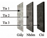 A diagram of different types of objects
AI-generated content may be incorrect.