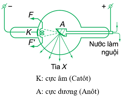 A diagram of a circular object with lines and arrows
AI-generated content may be incorrect.