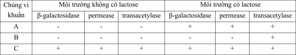 A table with text and symbols

Description automatically generated with medium confidence