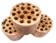 SỈ THAN TỔ ONG | Shopee Việt Nam