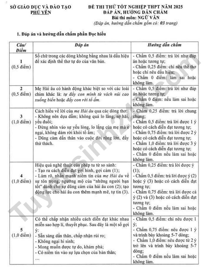 De thi thu mon Van tot nghiep THPT 2025 - So GD Phu Yen (co dap an)