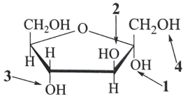 A diagram of a chemical formula

AI-generated content may be incorrect.
