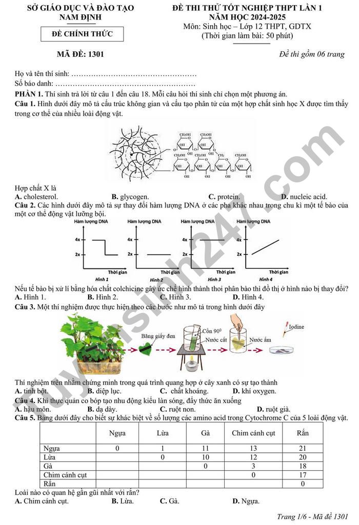 De thi thu tot nghiep THPT 2025 mon Sinh - So GD Nam Dinh (lan 1)