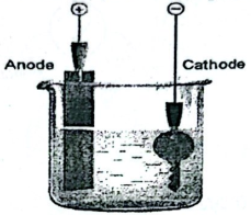 Ảnh có chứa bản phác thảo, tác phẩm nghệ thuật, cốc mỏ thí nghiệm, đen và trắng
Nội dung do AI tạo ra có thể không chính xác.
