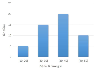 A graph with blue bars
AI-generated content may be incorrect.