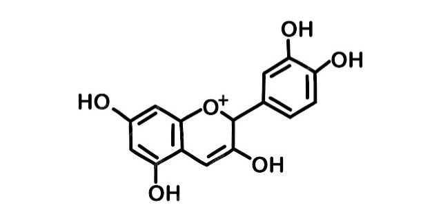Estrutura qu&iacute;mica da antocianina c15h11o6. | Vetor Premium
