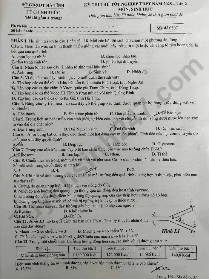 De thi thu tot nghiep THPT 2025 mon Sinh - So GD Ha Tinh lan 2