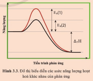 Chuyên đề Hóa 10 Bài 3 (Cánh diều): Năng lượng hoạt hóa của phản ứng ...