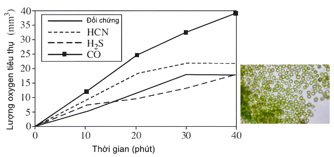 A graph of a plant growth
AI-generated content may be incorrect.