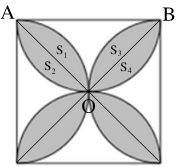 A diagram of a flower

AI-generated content may be incorrect.