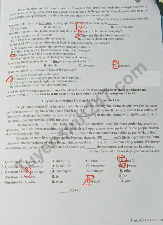 Dap an de thi vao lop 10 mon Anh - Tuyen Quang 2025