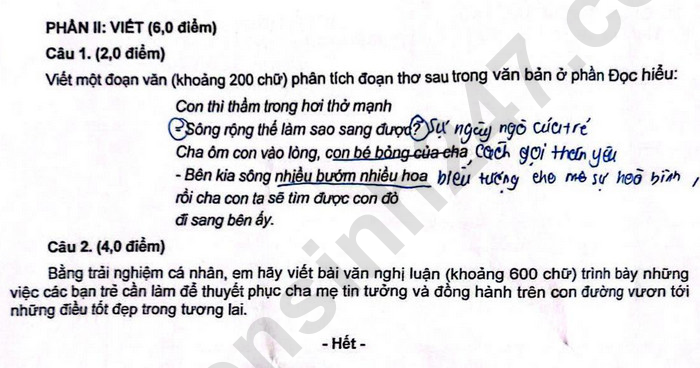 Dap an de thi mon Van vao lop 10 - Da Nang 2025