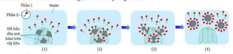 A diagram of a diagram of a plant

Description automatically generated with medium confidence
